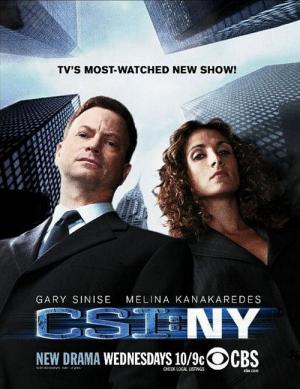 CSI: New York (2004)