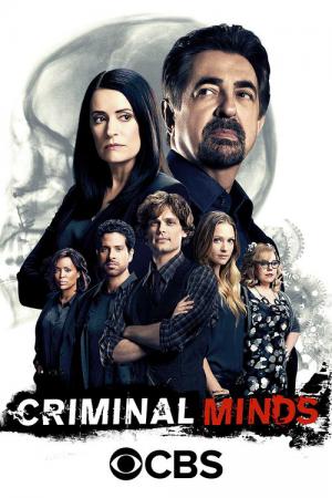 Criminal Minds: Evolution (2005)