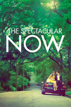 The Spectacular Now - Perfekt ist jetzt (2013)