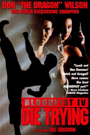 Bloodfist 4 - Deadly Dragon (1992)