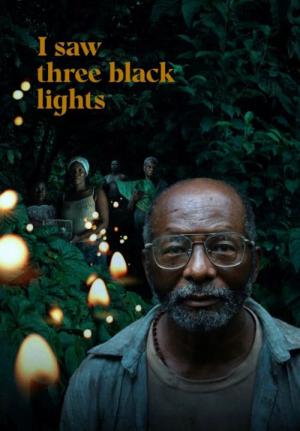 I Saw Three Black Lights (2024)