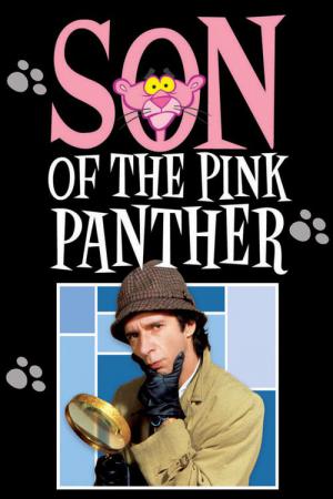 Der Sohn des rosaroten Panthers (1993)