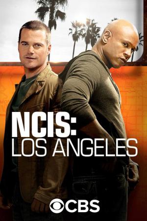 Navy CIS: L.A. (2009)