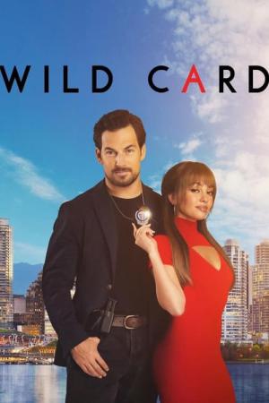Wild Cards (2024)
