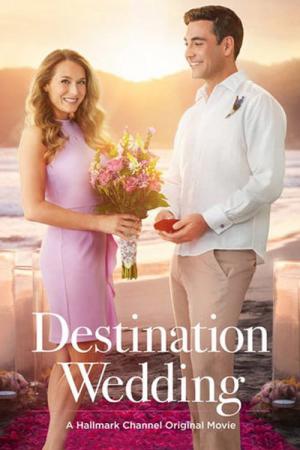 Destination Hochzeit (2017)