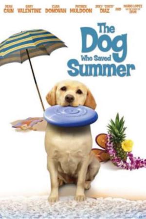 Ein Hund rettet den Sommer (2015)