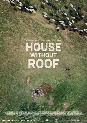 Haus ohne Dach (2016)