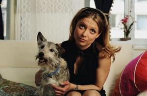 Ein Banker zum Verlieben (2003)