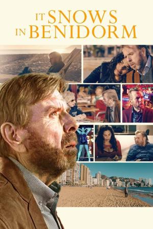 Nieva en Benidorm (2020)