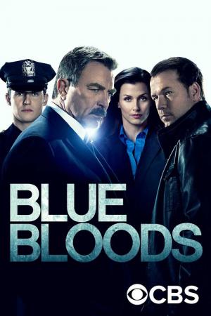 Blue Bloods: Crime Scene New York (2010)