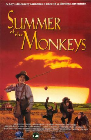Jay und die Affenbande (1998)