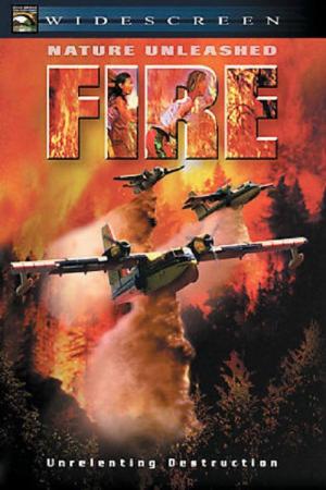 Feuer - Gefangen im Inferno (2004)