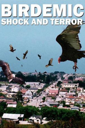 Birdemic - Shock and Terror (2010)