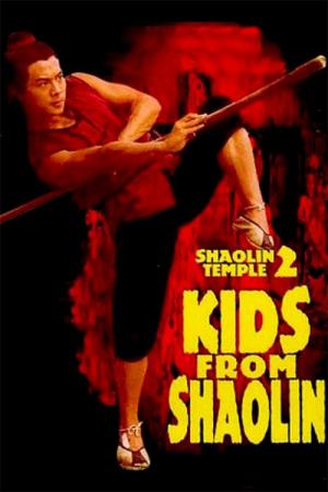 Meister der Shaolin 2 (1984)