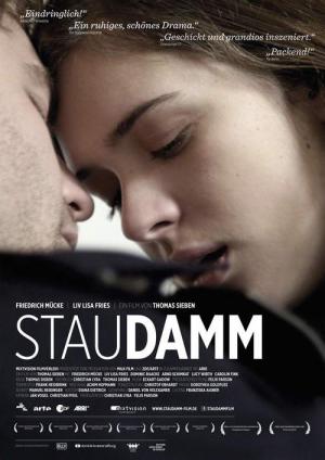Staudamm (2013)