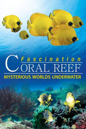 Fascination Coral Reef: Mysterious Worlds Underwater（part2） (2012)