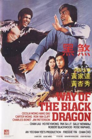 Die Faust des schwarzen Drachen (1978)