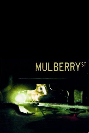Mulberry Street - Die Nachbarschaft verändert sich (2006)