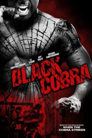 Black Cobra - Schwarze Diamanten (2012)