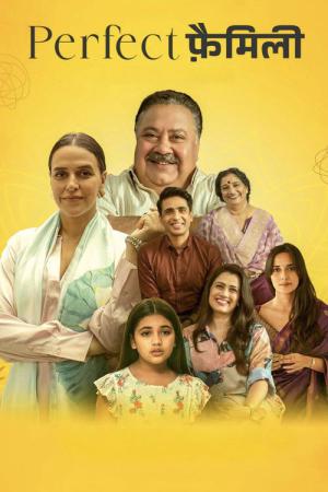 Perfect Family (2025)