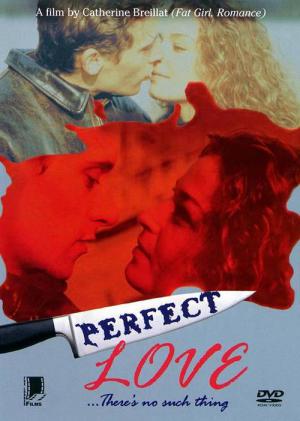 Eine perfekte Liebe (1996)