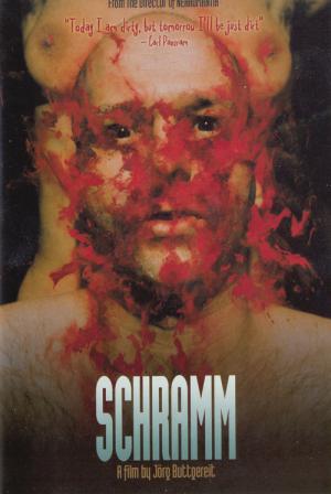 Schramm (1993)