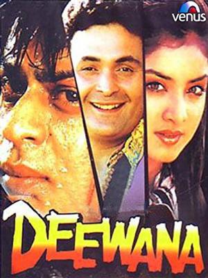Deewana - Im Zeichen der Liebe (1992)