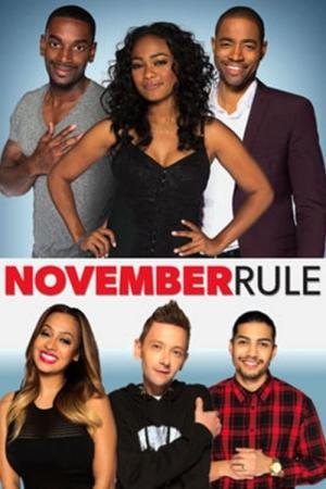 Die November-Regel (2015)