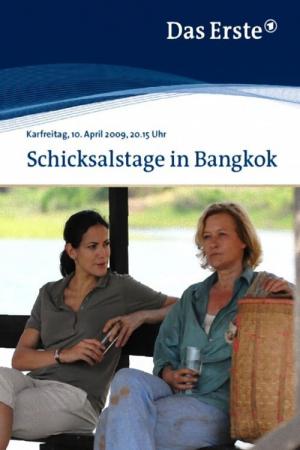 Schicksalstage in Bangkok (2009)