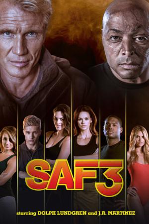 SAF3 (2013)