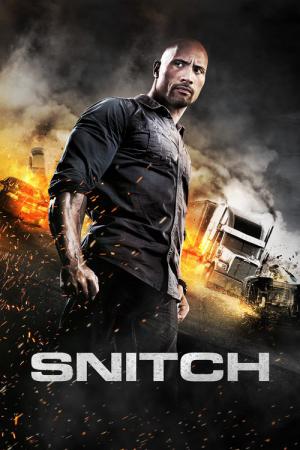 Snitch - Ein riskanter Deal (2013)