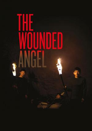 The Wounded Angel (2016)