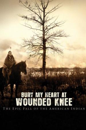 Begrabt mein Herz am Wounded Knee (2007)