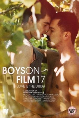 Boys on Film 17: Love Is the Drug (2017)