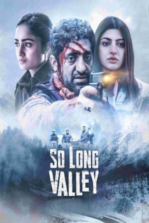 So Long Valley (2025)