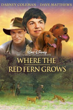 Wo der rote Farn wächst (2003)