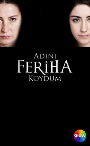 Adini Feriha Koydum (2011)