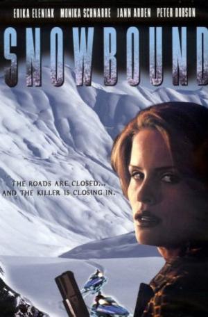 Showdown im Schnee (2001)