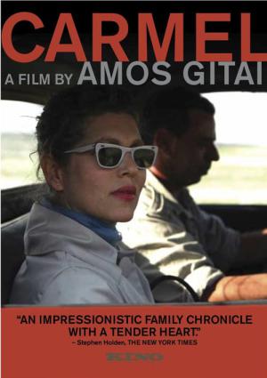 Carmel - Mitten im Krieg (2009)