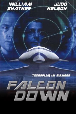 Falcon Down - Todesflug ins Eismeer (2001)