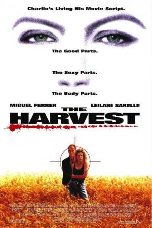 Blutige Ernte - The Harvest (1993)
