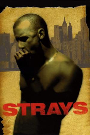 Strays – Lebe Dein Leben (1997)