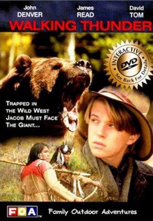 Auf der Spur des großen Bären (1995)