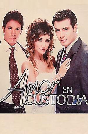 Amor en custodia (2005)