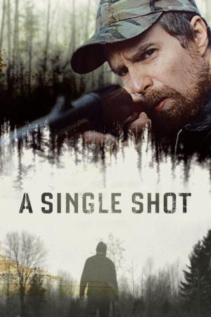 A Single Shot - Tödlicher Fehler (2013)
