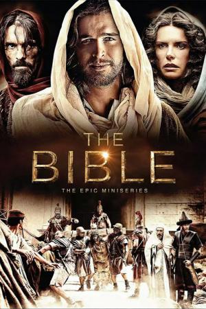 Die Bibel (2013)