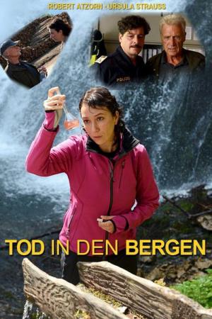 Tod in den Bergen (2013)