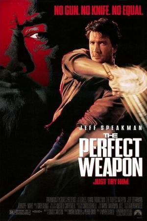Eine perfekte Waffe (1991)