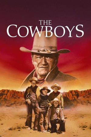 Die Cowboys (1972)