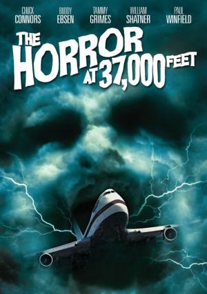 Horror in 37000 Fuß (1973)